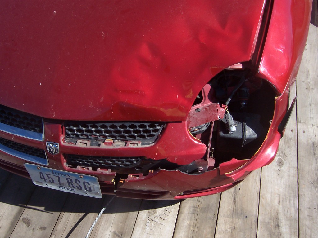 Iowa Ranks 2nd in the nation with deer/car accidents Oskaloosa News