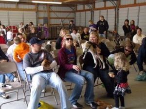 Woofstock had it's own pet trick show as well, allowing owners to display their dogs abilities