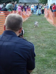 Zoey blazes down the radar run to take the win at 20 mph at Woofstock on Sunday