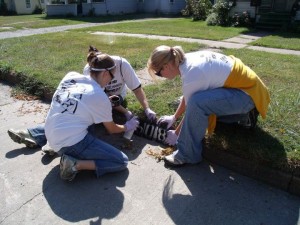 The pace was furious as groups of people walked blocks on end painting house numbers on the curbs of Oskaloosa