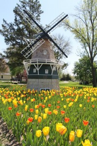 Pella Tulip Time (photo by Denis Currier)
