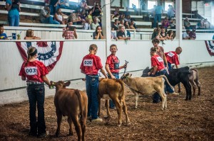 2014 Southern Iowa Fair