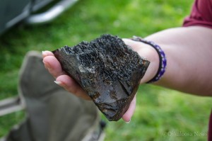 This portion of a mammoth leg bone was discovered this past weekend at the Mahaska Mammoth site.