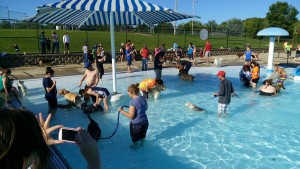 104 dogs and their human companions enjoyed a dip in the Edmundson Pool on Sunday afternoon.