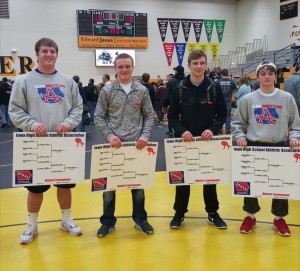 Albia state qualifiers with a record of 133-5