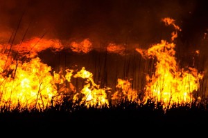 Night prairie burn at Russell Wildlife (file photo Denis Currier/Oskaloosa News)