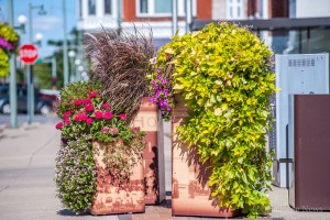 Flowers used to beautify downtown Oskaloosa during 2015 were chosen to honor women who have served in the armed forces.