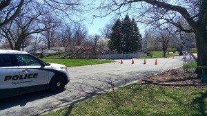 The wind caused some tree damage in the area over the weekend. This tree came crashing down on power lines on Saturday.