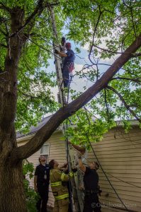Akirah Mackerl is helped out of a tree by Oskaloosa Firefighter Captain Dan Hoy on Tuesday afternoon. (photo by Ginger Allsup/Oskaloosa News)