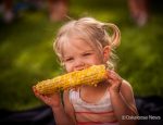 This young lady enjoyed the fresh roasted sweet corn on Thursday night.