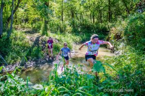 The Mammoth 5k had many new obstacles for the adventurous among us.