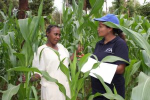 Dr. Mutegi gathering data from a farmer in Kenya.
