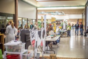 There was a large turnout of individuals at the Experience Mahaska Expo on April 8th, 2018.