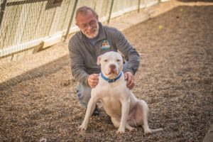Stephen Memorial Animal Shelter's Terry Gott and Tito.