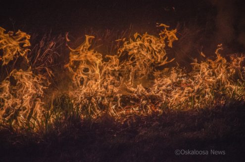 Field Fire (file photo)