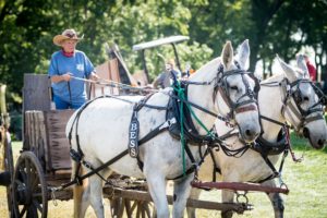 The 53rd Annual Nelson Pioneer Farm Fall festival took visitors back in time.