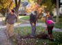 Volunteers work to plant trees in Oskaloosa on Saturday. Trees Forever and other volunteers planted 150 new trees,