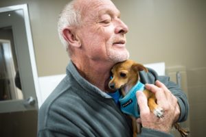 Stephen Memorial's Terry Gott comforts one of the small dogs that is up for adoption.