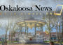 Oskaloosa News Cover Logo