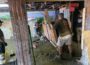 Volunteers help clean up the basement of Eldon City Hall this past week after floodwater damaged the structure.