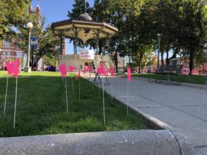 Women's Health Walk 2022