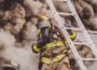 Oskaloosa Firefighters battled a house fire in the 1200 block of High Avenue West on Saturday.