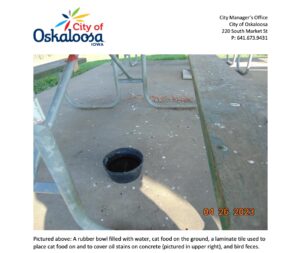 A photo from the City of Oskaloosa as part of their concern for the sanitation of the shelter house. (photo provided)