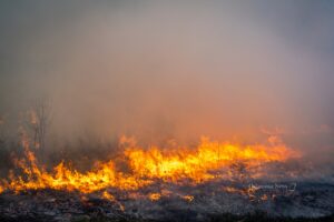 Mahaska County Conservation recently conducted a prescribed burn at the Environmental Learning Center.