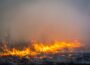 Mahaska County Conservation recently conducted a prescribed burn at the Environmental Learning Center.