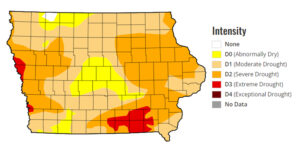 Drought conditions receded slightly in Iowa in the past week but is still widespread. (Courtesy of U.S. Drought Monitor)