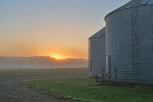 Grain Bins (ISU Extension Image)