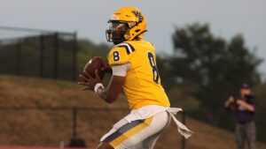 The best air assault in school history was unfortunately not enough to make up for numerous costly errors as the William Penn football lost its home opener 33-28 to Missouri Valley in a Heart of America Athletic Conference crossover game Saturday.