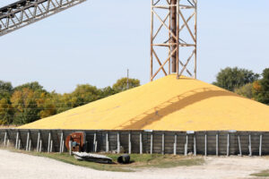 Harvested corn is piled near Lake City in western Iowa. (Photo by Jared Strong/Iowa Capital Dispatch)