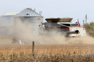 Iowa farmers have harvested almost all of the state's soybeans. (Photo by Jared Strong/Iowa Capital Dispatch)