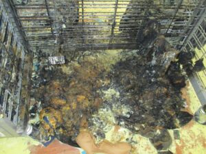 A photo of a fire scene at the Oskaloosa Walmart. (Oskaloosa Police Department photo)