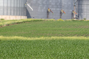 (Photo by Jared Strong/Iowa Capital Dispatch)