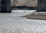 Iowa's rivers have been replenished by abundant rainfall this year. (Photo by Jared Strong/Iowa Capital Dispatch)