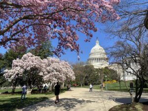  The U.S. Capitol is shown on March 14, 2024. (Photo by Jennifer Shutt/States Newsroom)