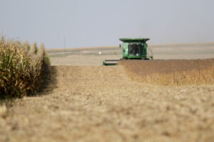 A farmer harvests soybeans in western Iowa in early October 2023. (Photo by Jared Strong/Iowa Capital Dispatch)