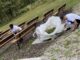Volunteers help clean up around the Woodhaven Ampitheater during Mahaska County United Way Day of Caring 2024. (photo submitted)