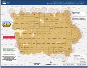 Emerald Ash Borer Now Confirmed in all 99 Counties. (Iowa DNR Graphic)