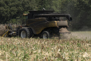 Corn harvest is nearly completed in Iowa and soil conditions are improving due to recent rain. (Photo courtesy of USDA)