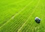 An Iowa survey following conservation practices that reduce nutrient runoff, shows an increase in cover cropping in the state. (Photo by Edwin Remsberg and USDA-SARE)