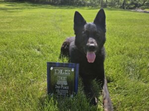 Mahaska County Deputy Sheriff David Wilke and his K9 partner Rocco recently brought home recognition from the annual Dogs for Law Enforcement (DLE) certification seminar in Independence, Iowa. (photo provided)
