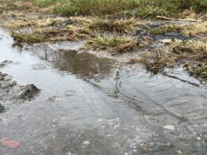  Iowa had below average temperatures and above average precipitation last week, according to the weekly crop report. (Photo by Cami Koons/Iowa Capital Dispatch)