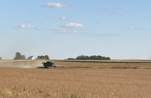 A farmer harvests soybeans Oct. 7, 2025 near Dike, Iowa. (Photo by Cami Koons/Iowa Capital Dispatch)