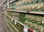 Canned foods on grocery store shelves. (Photo by Cami Koons/Iowa Capital Dispatch)
