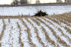  Iowa had its first snow as harvest season comes to a close. (Photo by Jared Strong/Iowa Capital Dispatch)