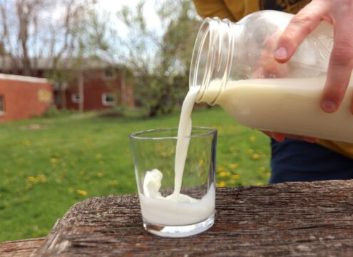 An Iowa House subcommittee advanced language that would expand the sale of raw milk, in addition to creating an annual license for farm-to-table events. (Photo by Cami Koons/Iowa Capital Dispatch)