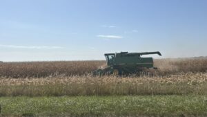  A farmer harvests corn beside Highway 163. (Photo by Cami Koons/Iowa Capital Dispatch) 